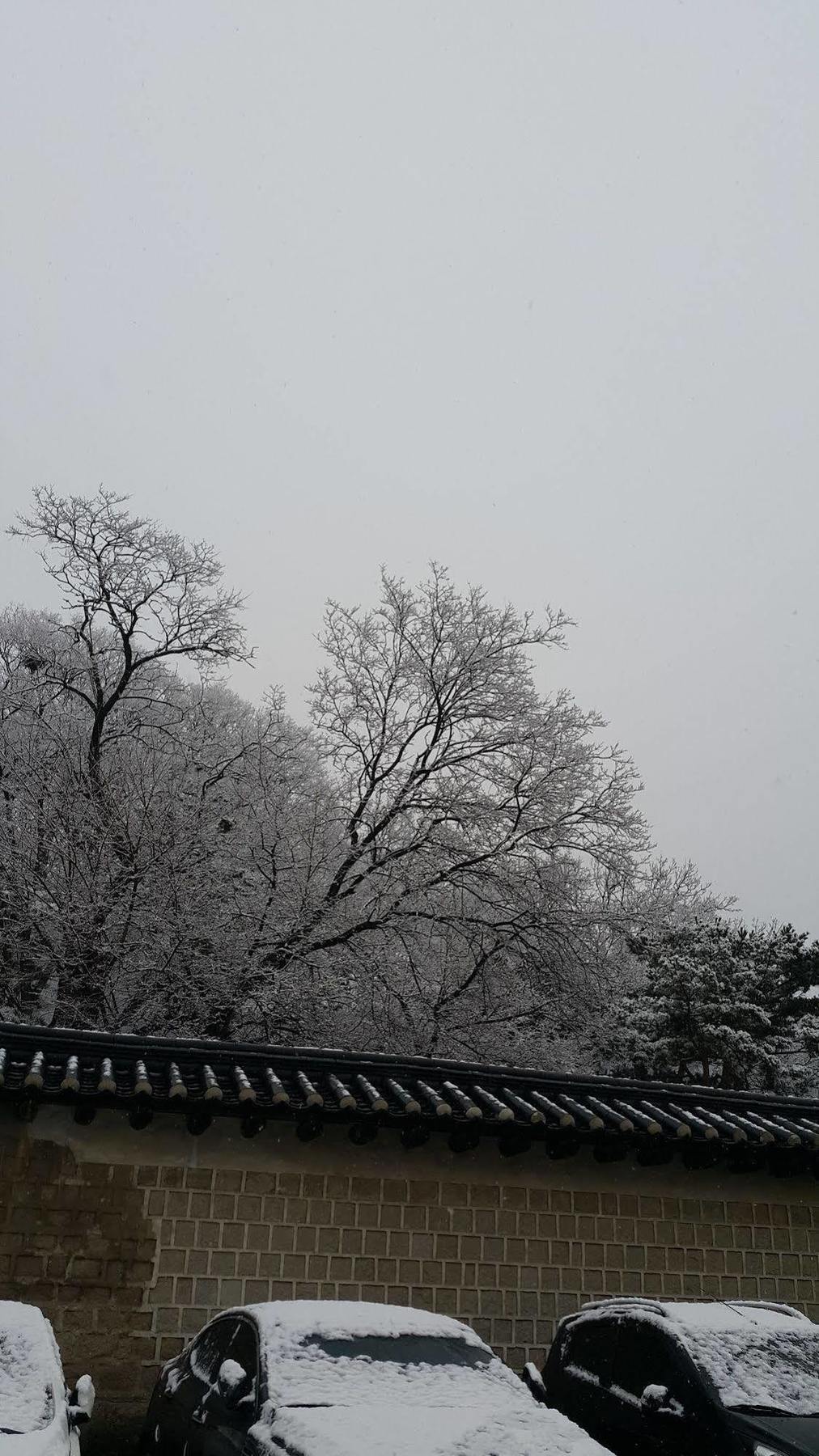 Y 2* Seoul